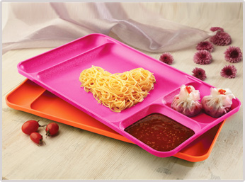 DINING TRAY (set of 2) 